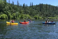 Des kayakistes pagayant dans des kayaks de couleurs jaune, orange et bleu sur une rivière calme, avec en arrière-plan une colline boisée de pins et de chênes sous un ciel bleu limpide.