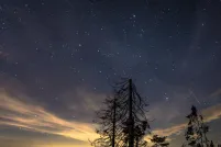 Un ciel nocturne étoilé au-dessus d’une colline sombre et vallonnée, avec au premier plan des silhouettes d’arbres dénudés balayés par le vent et un bouquet de conifères. De légères bandes de nuages dorés et la lueur de lumières lointaines dessinent l’horizon, tandis qu’une fine traînée rose (probablement un météore) traverse le ciel à droite.
