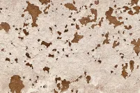 Peinture blanche se décollant d'un mur brun.