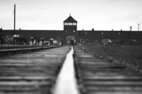 Des rails de train menant à un bâtiment au loin qu’on reconnaît comme étant le bâtiment à la porte d'Auschwitz-Birkenau.