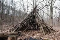 Une structure autochtone traditionnelle, communément appelée un tipi, faite de branches, est posée sur un sol forestier couvert de feuilles, entourée de troncs d’arbres coupés.