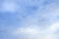 Un voilier d’oies vole dans un ciel d’un bleu éclatant.