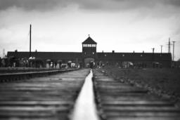Train tracks lead to a distant building recognizable as the Auschwitz-Birkenau gate house.