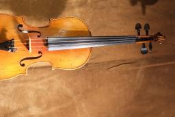 A violin.