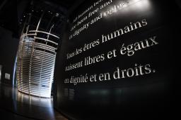 Mots sur un mur foncé « Tous les êtres humains naissent libres et égaux en dignité et droits. »