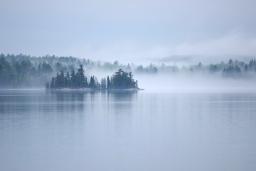 De la brume s’élève d’un grand lac calme entouré d’une forêt de conifères.