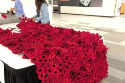 Two people are working at a table full of poppies.