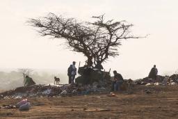 Plusieurs personnes et un chien assis et debout dans une décharge. Un arbre est au centre de l'image et des déchets sont éparpillés sur le sol.