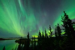 Le ciel nocturne est éclairé en vert, jaune et bleu par des aurores boréales. Il y a de grands arbres à droite de l'image et un lac à gauche.
