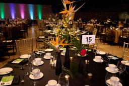 Une grande salle aménagée pour un gala, avec des lumières colorées projetées sur les murs et des tables recouvertes de nappes noires et garnies de centres de table en fleurs tropicales et de vaisselle.