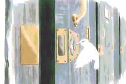 Illustration simple d'un colibri blanc qui crochète la serrure d'une porte et l'ouvre. La porte se trouve dans une rangée de portes.