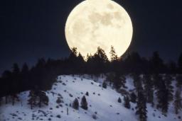 La pleine lune se lève derrière une colline enneigée couverte de pins.