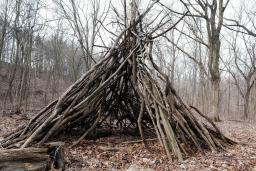 Une structure autochtone traditionnelle, communément appelée un tipi, faite de branches, est posée sur un sol forestier couvert de feuilles, entourée de troncs d’arbres coupés.