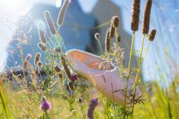 Un chausson de ballet repose dans un champ de hautes herbes de prairie près d'un grand édifice en verre.