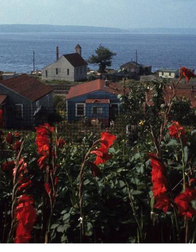 Un groupe de maisons en bois près d’un grand plan d’eau avec des fleurs rouges au premier plan. Visibilité masquée.