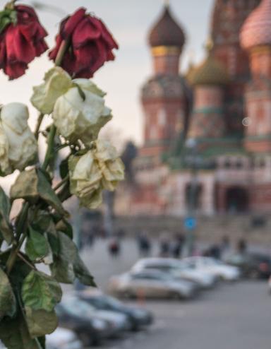 Des roses rouges et blanches fanées dans un vase. En arrière-plan, on voit la cathédrale Saint-Basile sur la place Rouge, à Moscou, avec ses multiples coupoles et dômes, qui rappellent un feu de camp montant vers le ciel. Visibilité masquée.