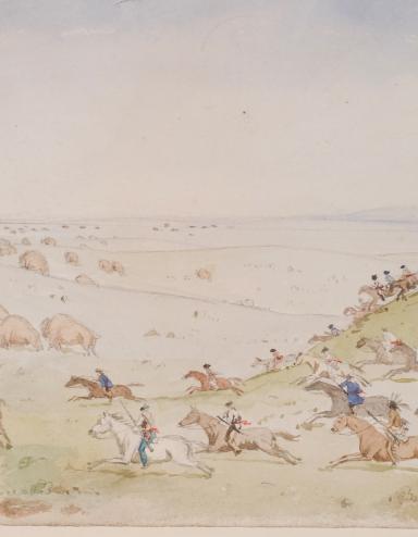 Des cavaliers armés de flèches et de lances traversent un paysage de prairies vallonnées en direction d’un troupeau de bisons. Visibilité masquée.