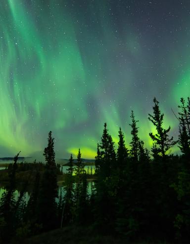 Le ciel nocturne est éclairé en vert, jaune et bleu par des aurores boréales. Il y a de grands arbres à droite de l'image et un lac à gauche.