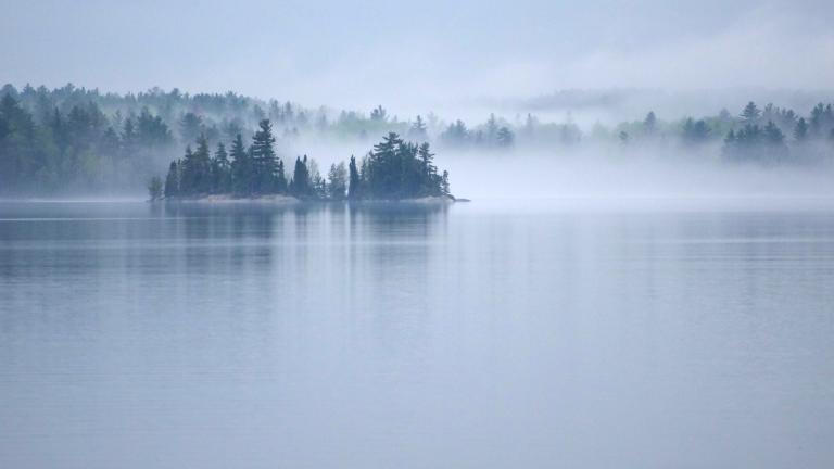 De la brume s’élève d’un grand lac calme entouré d’une forêt de conifères. Visibilité masquée.