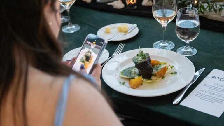 Une femme à la peau claire et aux longs cheveux bruns utilise son téléphone portable pour prendre une photo d’une assiette de nourriture gastronomique posée sur une table. Visibilité masquée.