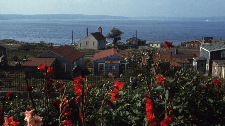 Un groupe de maisons en bois près d’un grand plan d’eau avec des fleurs rouges au premier plan. Visibilité masquée.