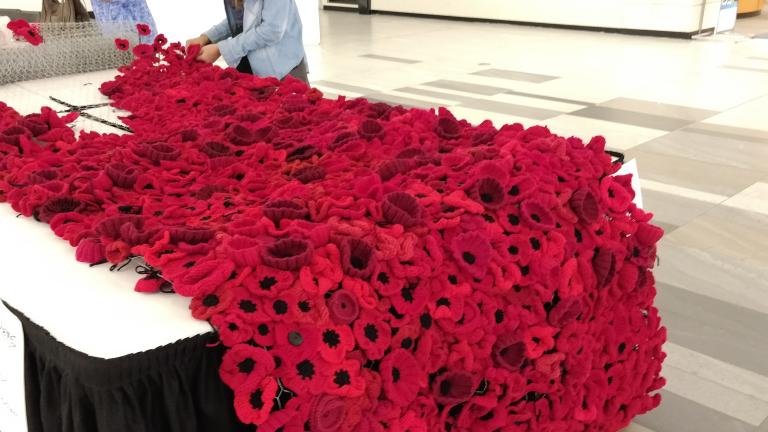 Two people are working at a table full of poppies. Visibilité masquée.