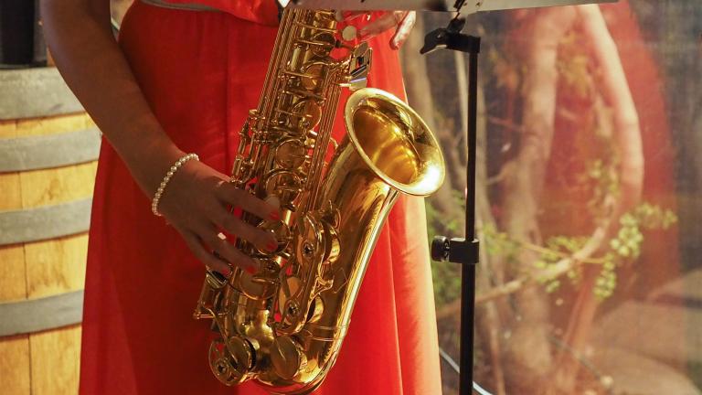 Une musicienne vêtue d’une robe rouge sans manches joue d’un saxophone doré. Visibilité masquée.