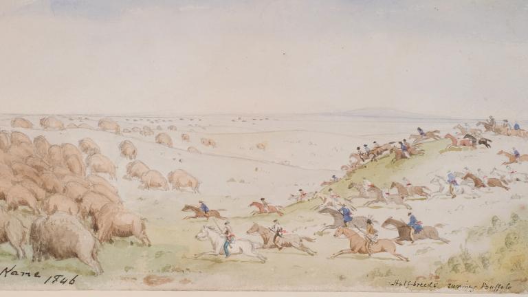 Des cavaliers armés de flèches et de lances traversent un paysage de prairies vallonnées en direction d’un troupeau de bisons. Visibilité masquée.