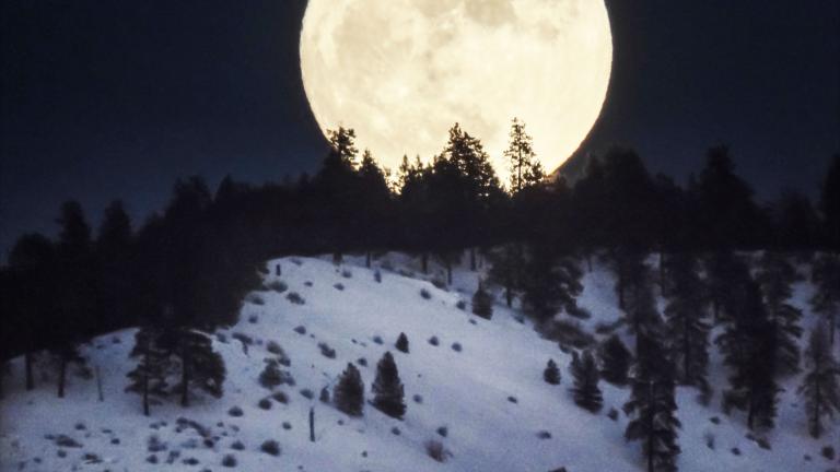 La pleine lune se lève derrière une colline enneigée couverte de pins. Visibilité masquée.