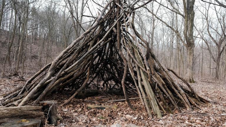 Une structure autochtone traditionnelle, communément appelée un tipi, faite de branches, est posée sur un sol forestier couvert de feuilles, entourée de troncs d’arbres coupés. Visibilité masquée.