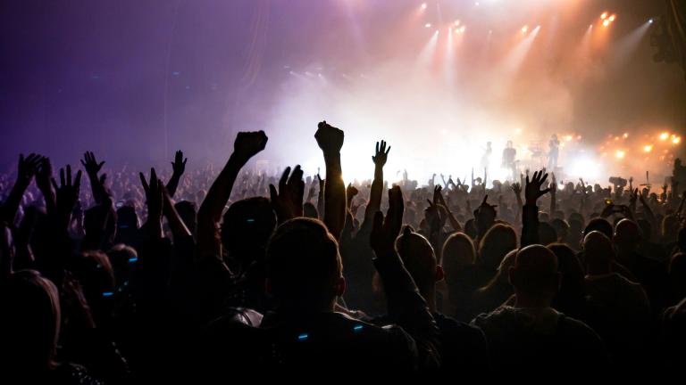 Concert-goers raise their hands in collective jubilation as a band plays on a brightly lit stage. Visibilité masquée.