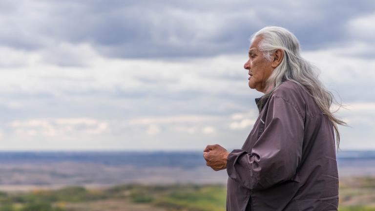 Une personne aux longs cheveux gris se tient à l'extérieur, avec un paysage vallonné et herbeux et un ciel nuageux au loin. Visibilité masquée.