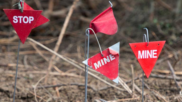 De petits drapeaux triangulaires rouges sur des tiges en métal sont plantés dans le sol. Sur quelques-uns des drapeaux, on peut lire les mots « Stop » et « Mine ».