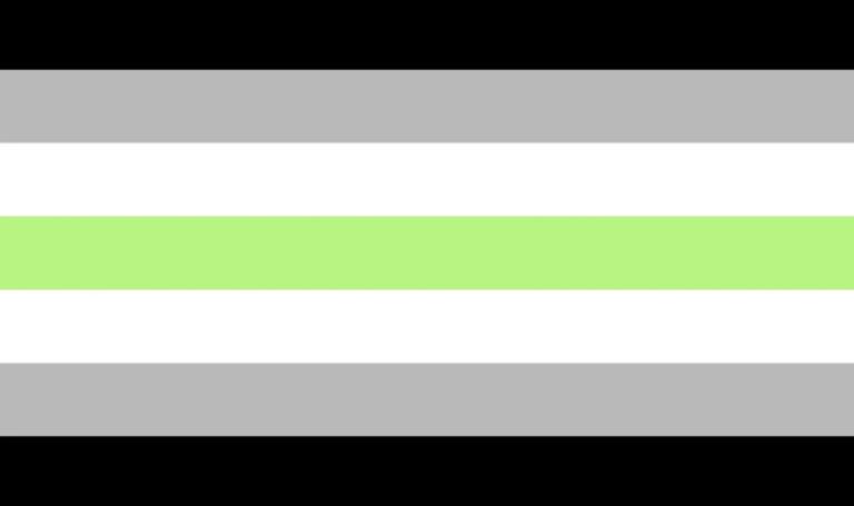 Drapeau composé d’étroites bandes horizontales : une bande verte au centre et des bandes blanches, grises et noires symétriquement au-dessus et en dessous.