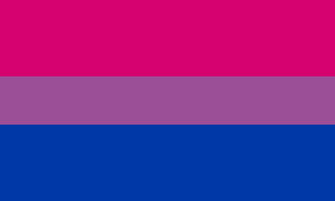 Un drapeau composé de bandes horizontales : une bande étroite violette au centre, puis une large bande magenta au-dessus et une large bande bleu foncé en dessous.