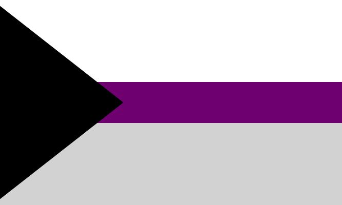 Un drapeau avec un grand triangle équilatéral noir sur le côté gauche, dont le sommet pointe vers la droite. Une étroite bande horizontale violet divise le reste du drapeau, avec une large zone blanche au-dessus et gris clair en dessous.