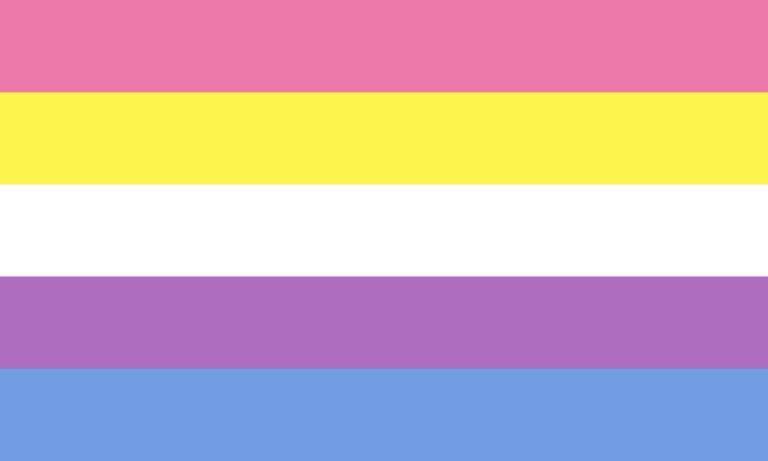 Un drapeau composé de bandes horizontales, de haut en bas : rose, jaune, blanc, violet et bleu.