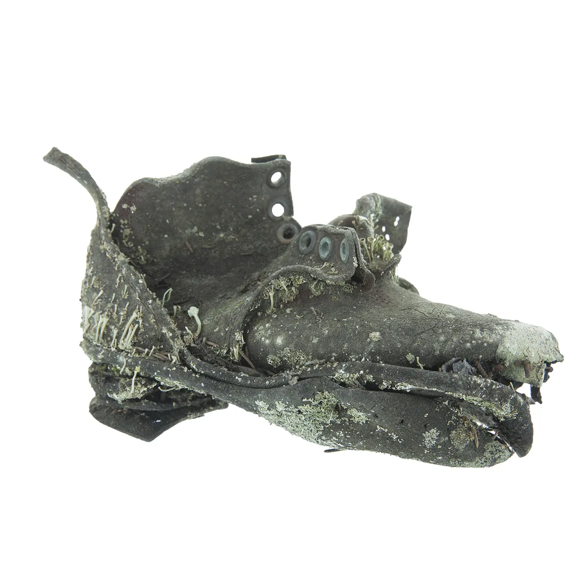 Une chaussure d’enfant en cuir, partiellement décomposée.