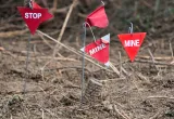 De petits drapeaux triangulaires rouges sur des tiges en métal sont plantés dans le sol. Sur quelques-uns des drapeaux, on peut lire les mots « Stop » et « Mine ».