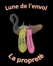 L’image d’une oie est dans l’arrière-plan sur un fond noir. Une plume rose et une plume jaune sont superposées sur l’oie. Toutes deux ont du fil coloré et des fils de minuscules perles colorées noués à leur base. La plume jaune est ornée d’un papillon vert, tandis que la plume rose porte une inscription en anglais qui dit « Les arbres se balancent dans le vent ». Au-dessus de l’oie et des plumes se trouvent les mots « Lune de l’envol », et dessous, « La propreté ».