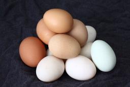 Des œufs frais de la ferme sont empilés sur un tissu sombre. Certains sont blancs, d’autres sont de différentes nuances de brun. 
