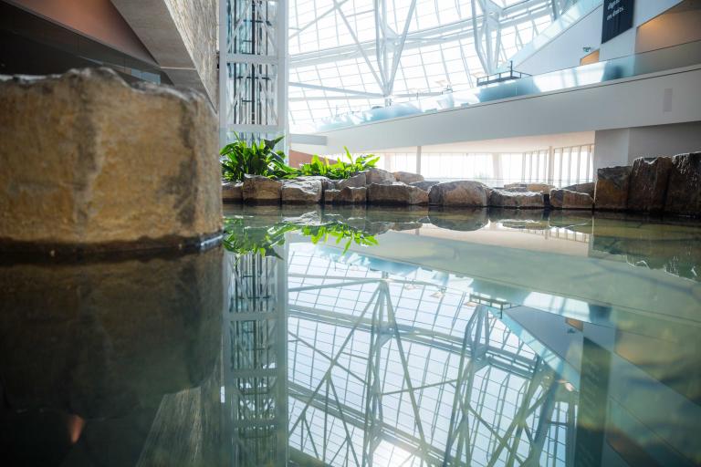 Le Jardin de contemplation Stuart Clark dans le Musée. Visibilité masquée.