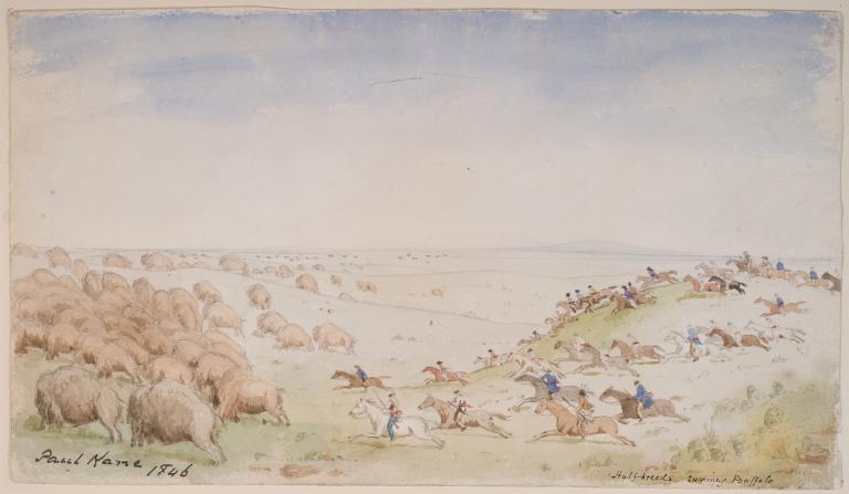 Des cavaliers armés de flèches et de lances traversent un paysage de prairies vallonnées en direction d’un troupeau de bisons. Visibilité masquée.