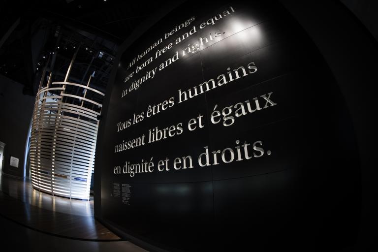 Mots sur un mur foncé « Tous les êtres humains naissent libres et égaux en dignité et droits. » Visibilité masquée.