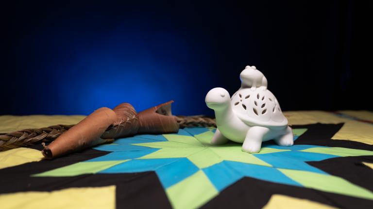 Une tortue blanche avec une grenouille sur le dos, assise sur une couverture colorée en étoile. Visibilité masquée.