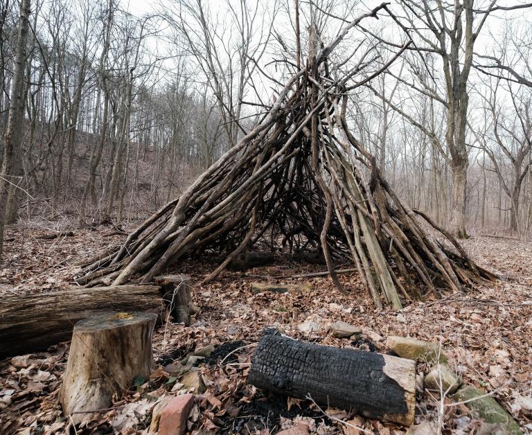 Une structure autochtone traditionnelle, communément appelée un tipi, faite de branches, est posée sur un sol forestier couvert de feuilles, entourée de troncs d’arbres coupés. Visibilité masquée.
