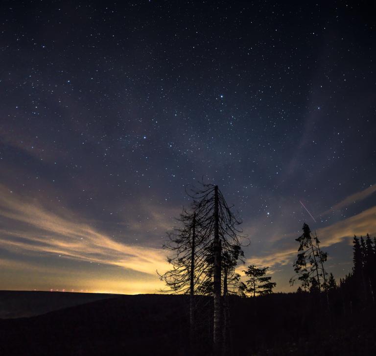 Un ciel nocturne étoilé au-dessus d’une colline sombre et vallonnée, avec au premier plan des silhouettes d’arbres dénudés balayés par le vent et un bouquet de conifères. De légères bandes de nuages dorés et la lueur de lumières lointaines dessinent l’horizon, tandis qu’une fine traînée rose (probablement un météore) traverse le ciel à droite. Visibilité masquée.